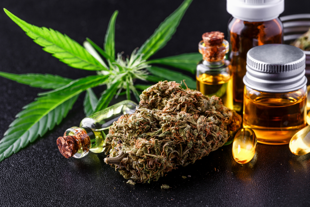 Maconha Medicinal