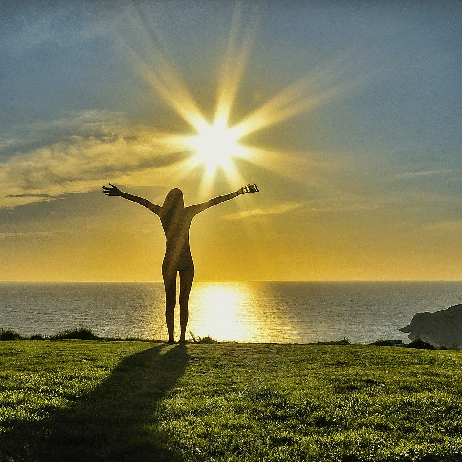 Vitamina D e o Cérebro
